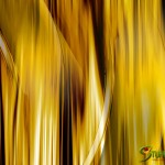stunningmesh-misc-wallpaper150 stunningmesh-misc-wallpaper150