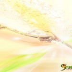 stunningmesh-misc-wallpaper63