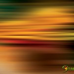 stunningmesh-misc-wallpaper80