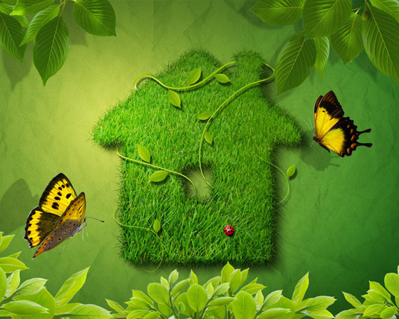 Green Nature - Eco Friendly Wallpapers