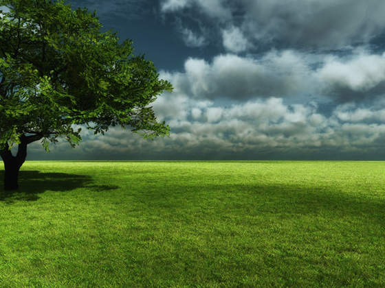 Green Nature - Eco Friendly Wallpapers