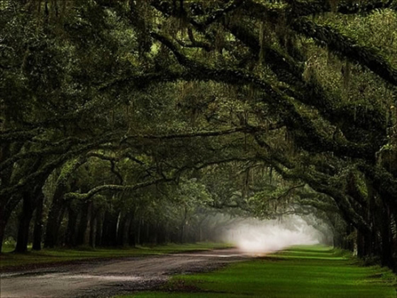 Stunningmesh - Amazing Roads and Paths making the Art Awesome Roads