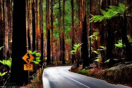 Stunningmesh - Amazing Roads and Paths making the Art Awesome Roads