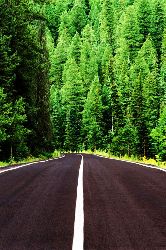 Stunningmesh - Amazing Roads and Paths making the Art Awesome Roads