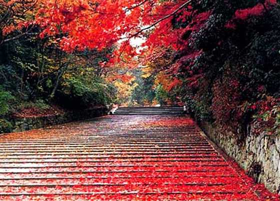 Stunningmesh - Amazing Roads and Paths making the Art Awesome Roads