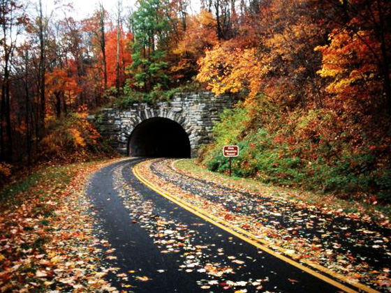 Stunningmesh - Amazing Roads and Paths making the Art Awesome Roads