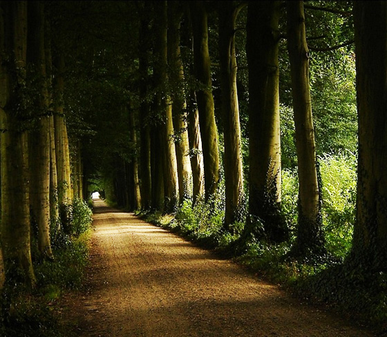 Stunningmesh - Amazing Roads and Paths making the Art Amazing Paths Making The Art