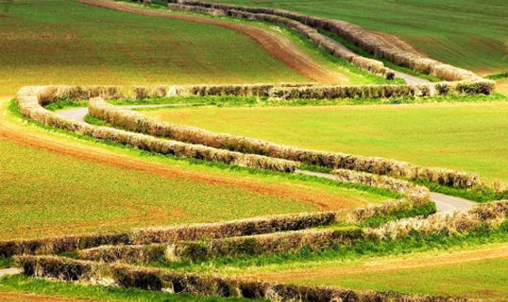 Stunningmesh - Amazing Roads and Paths making the Art Amazing Paths Making The Art