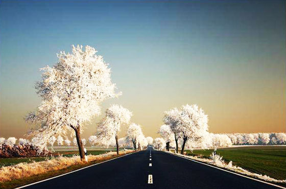Stunningmesh - Amazing Roads and Paths making the Art Awesome Roads