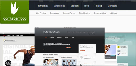 stunningmesh-joomla-template-sites-42 Download