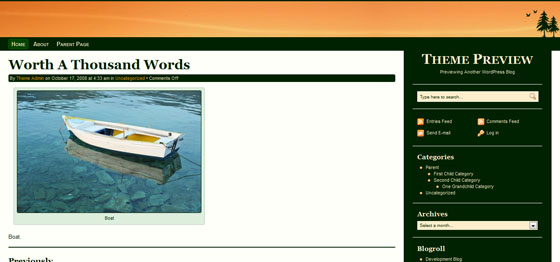Premium WordPress Themes