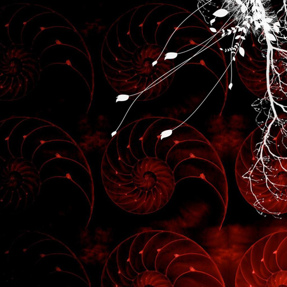 Stunningmesh - IPad Wallpapers Apple Tablest Pictures
