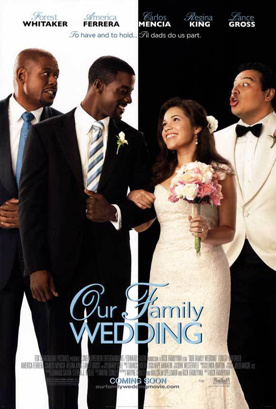 Comedy Movie Posters 2010 and 2011 Fun Feature Film Flyers