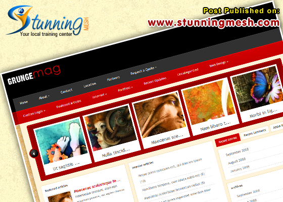 Grunge mag by ElegantTheme Premium WordPress Themes
