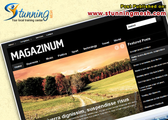 Premium WordPress Themes