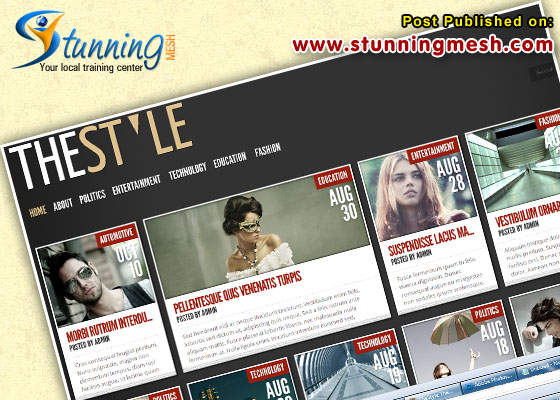 TheStyle by ElegantTheme