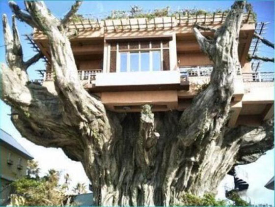 Unusual and Amazing Houses by Stunningmesh Unusual Architectural Houses in The World