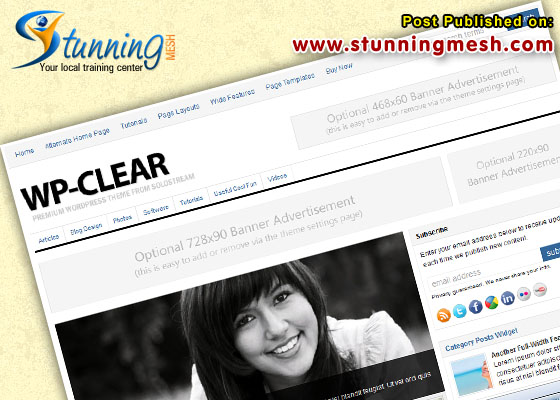 Premium WordPress Themes