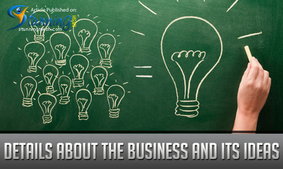 Details about the Business and its Ideas
