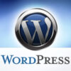 Quick Guide for Setting up WordPress Classified Themes