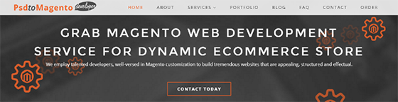 PSDtoMagentoDeveloper - Web Development Companies