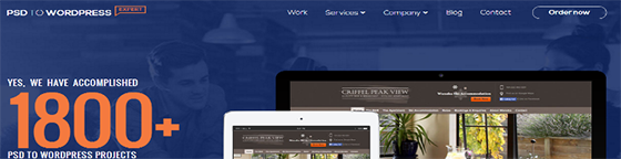 PSDtoWordPressExpert - Web Development Companies