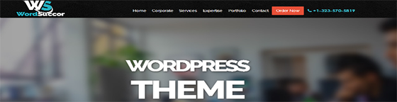 WordSuccor - Web Development Companies