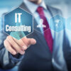 IT Consulting