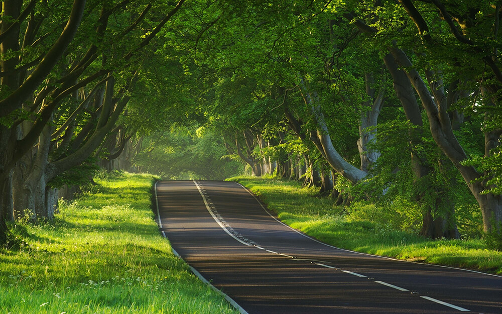 Awesome Roads and Paths Making the Art - Wallpapers