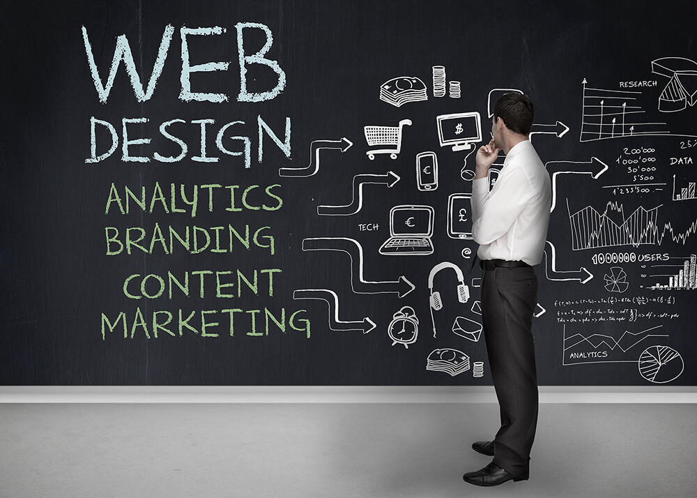 Hiring a Professional Web Design Agency On Sunshine Coast