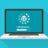 How to Update WordPress