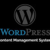 Leveraging on the Power of WordPress CMS for Your Business