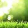 Maintenance for Your Lawn and Garden Equipment