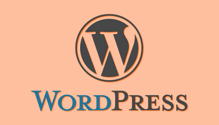 Plug-Ins Provide Backup to the WordPress