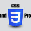 Shorthand CSS Properties