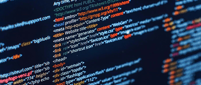 The Importance Of Web Development